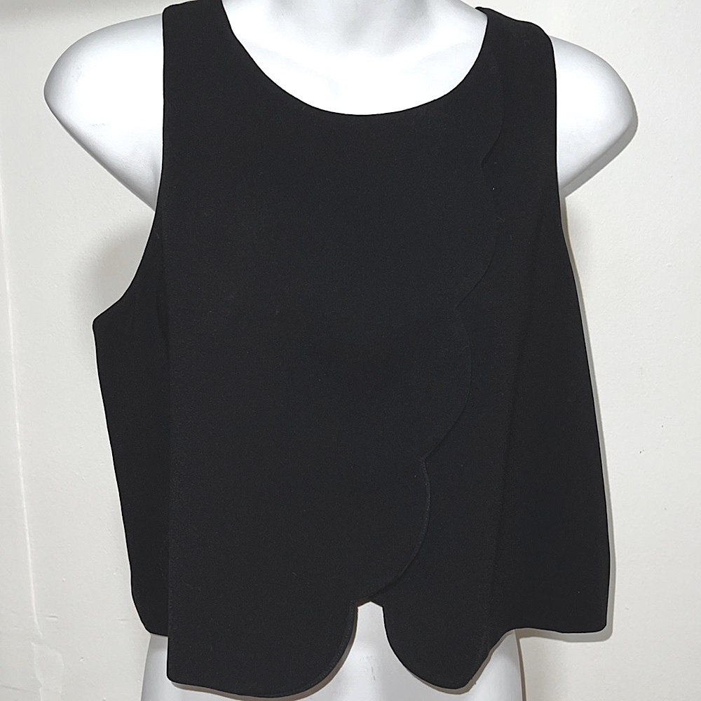 Club Monaco black cropped blouse